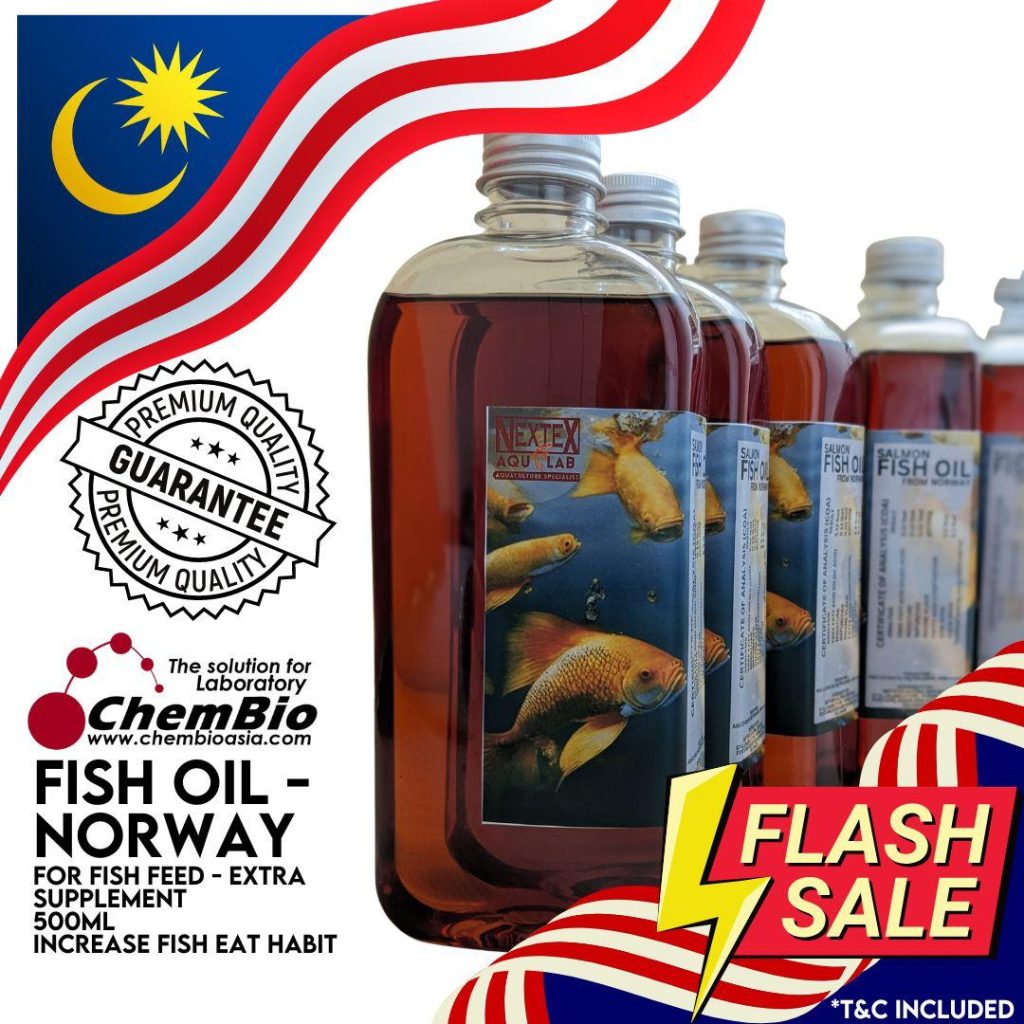 WhatsApp Image 2025-07-22 at 11.54.47 PM (1)